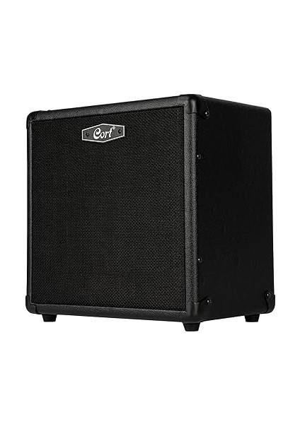 Bas Gitar Amfisi, 20 Watt modelleri