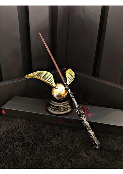Concept Harry Potter Asa ve Golden Snitch Aksiyon Set