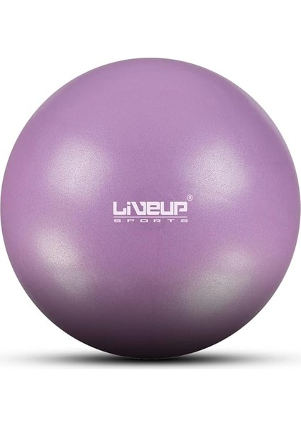 Pilates & Yoga Ürünleri LS3225 Mını Ball Pınk 20CM Liveup 20CM Mini Pilates Topu Pembe