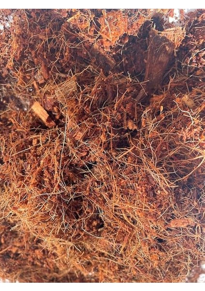 Cocopeat/hindistan Cevizi Torfu /%100 Doğal Torf 5 Lt - 9 Lt (9 Lt) fırsatları