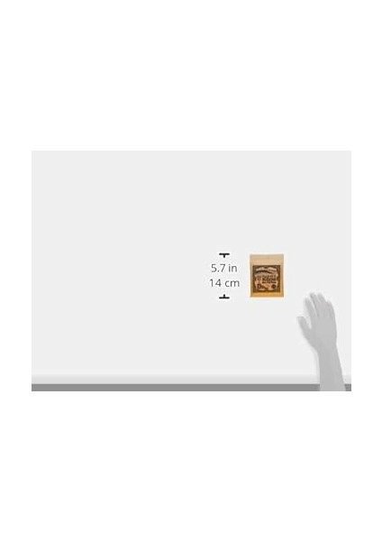 Ball Ukulele Ball End Şeffaf Naylon Ipler modelleri