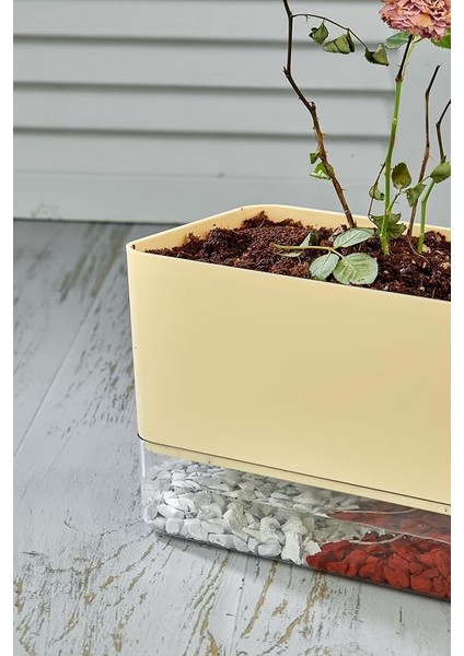 Flower Akıllı Çiçek Saksı - Hidro Saksı (Kendi Kendine Sulama Yapar) indirimleri