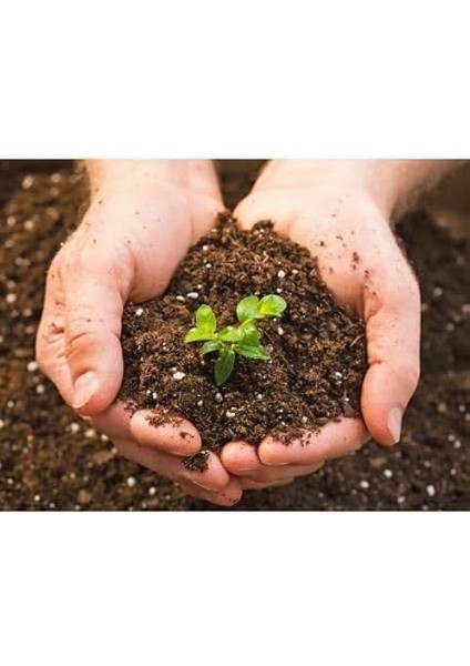 Fresh Torf 20 Lt Çiçek Toprağı Saksı Toprağı Doğal Tohum Ekim Torfu modelleri