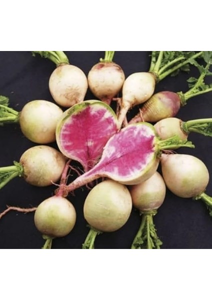 Kırmızı Beyaz (Çoklu Tohum) - 5 Gram modelleri