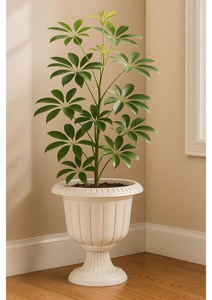 6 Litre Ayaklı Deliksiz Plastik Nergis Saksı 30CM Beyaz