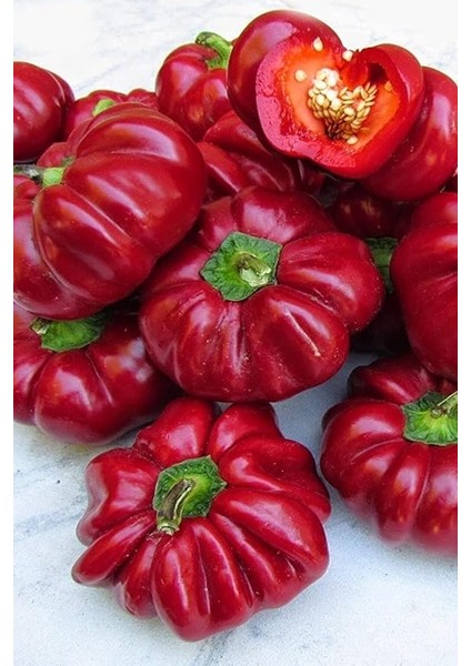 Dünyam Kamber Domates Biberi Tohumu / 10+ Adet Tohum modelleri