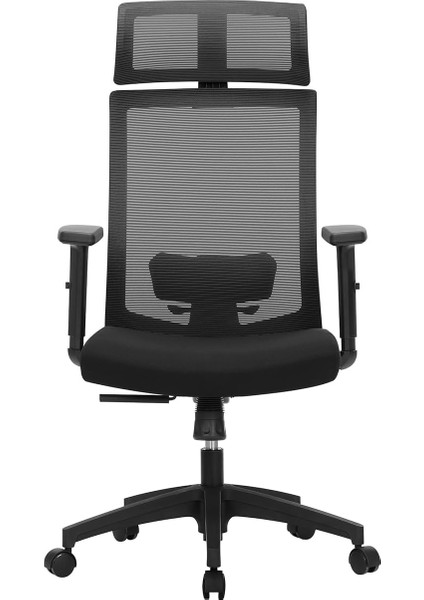 Ofis Koltuğu, File Kaplamalı Masa Sandalyesi, Ayarlanabilir Bel Desteği, Koltuk Başlığı ve Kolçaklar, 120'YE Kadar Ayarlanabilir Eğim Açısı, Siyah, OBN55BK, 6660 (97-105,5) cm