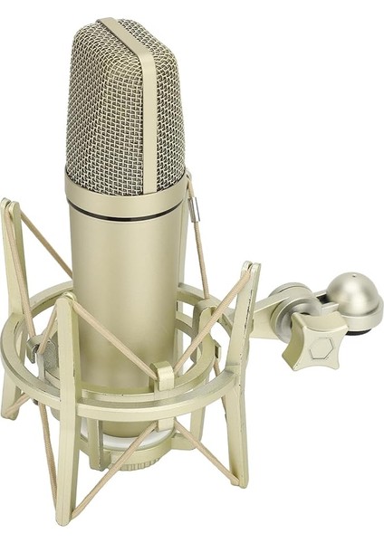 Kondenser Mikrofon Metal Podcast Için Taban