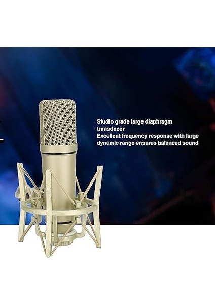 Kondenser Mikrofon Metal Podcast Için Taban fiyatları