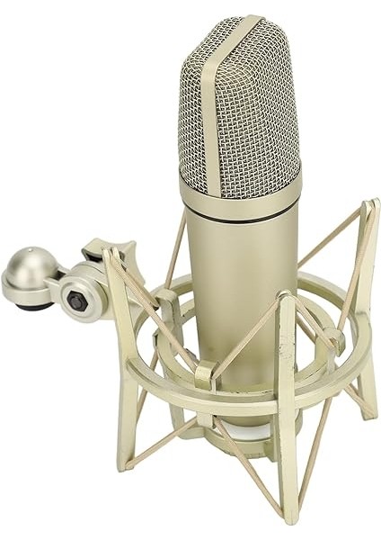 Kondenser Mikrofon Metal Podcast Için Taban fırsatları