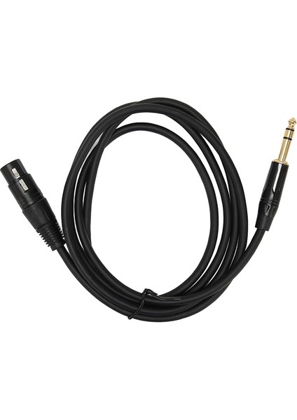 Xlr Dişi - 1/4 Inç Kablo, Ağır Hizmet 3pin Xlr - 6.35MM Fiş Stüdyo ve Canlı Performans, Dengeli Ara Bağlantı Kablosu (#2)