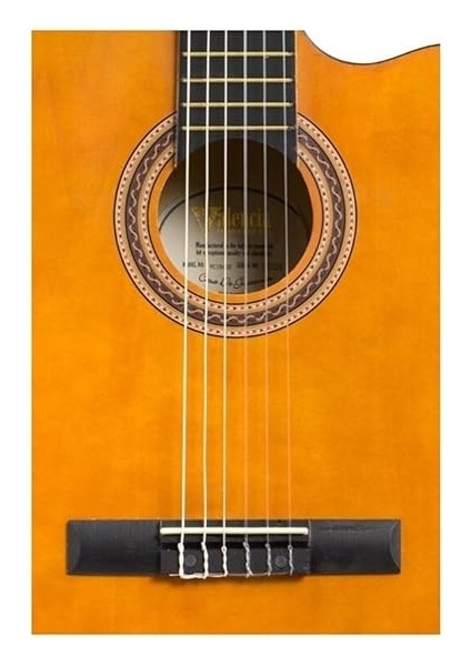 Elektro Klasik Gitar modelleri