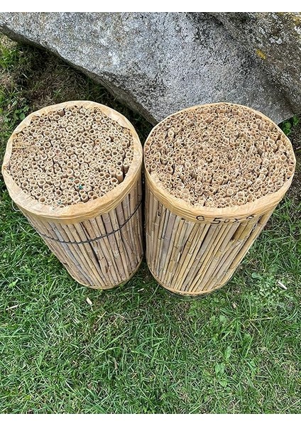 50CMX5M Hasir Kamış fiyatları