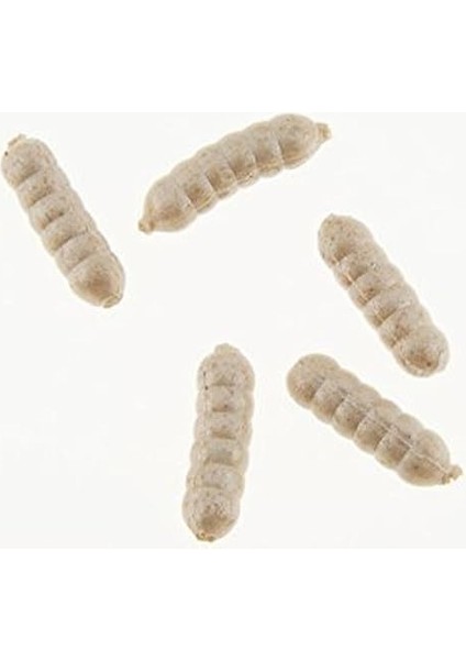 Powerbait Power Wigglers Balıkçılık Yumuşak Yem