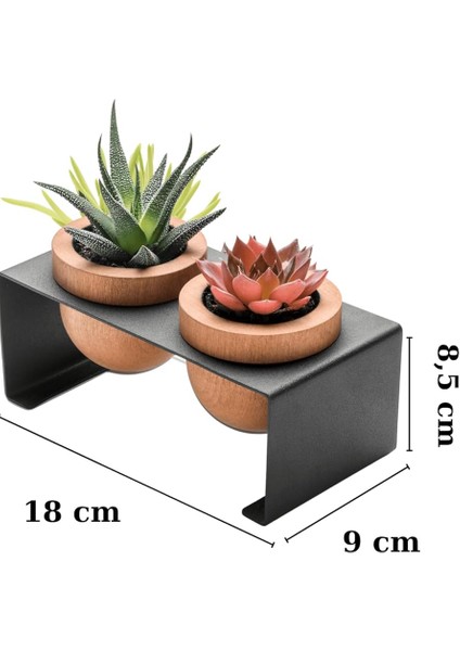 Metal Stantlı 2’li Skulent Saksısı – Siyah Metal Stant ve Meşe Saksılar, Modern Tasarım, Dekoratif Çiçek Saksılığı, Skulent ve Kaktüs Için Şık Saksı, Ev ve Ofis Dekoru fiyatları