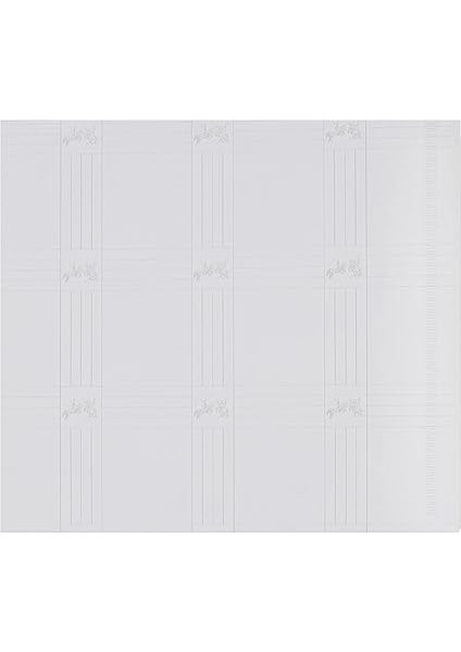 Desenli Çıtçıtlı Dosya, Şeffaf modelleri