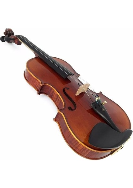 PHB-1004 Keman 3/4 Kutulu Ön Ladin Arka ve Yanlar Akçaağaç fiyatları