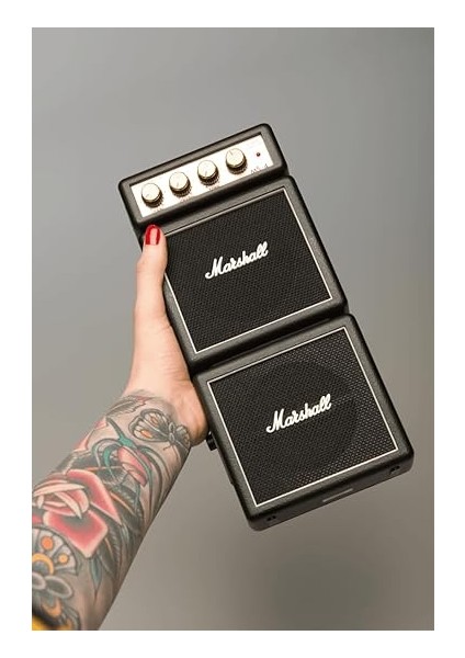 Ms-4 Microbe - Full Stack fırsatları