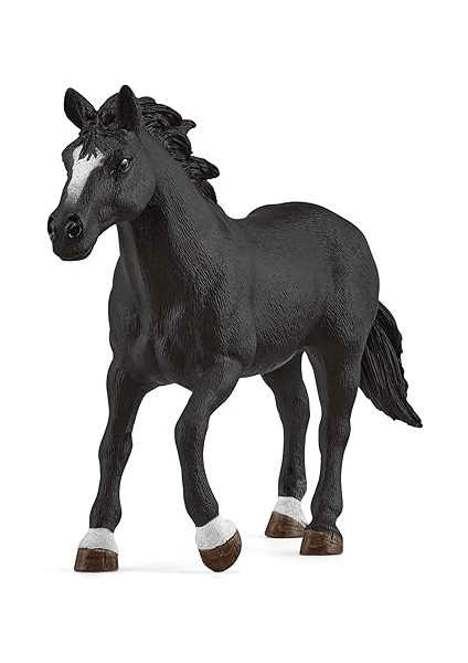 Kovboy Kız ve Fıçılı At Yarışı indirimleri