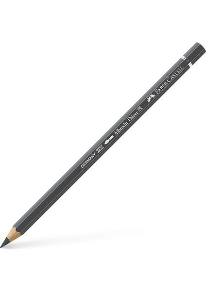 Albrecht Dürer Sanatçı Suluboya Kalem, P1