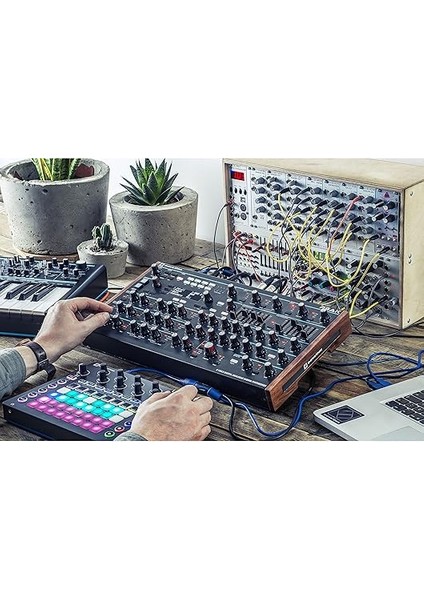 Peak 8 Sesli Polifonik Desktop Synthesizer: Her Ses Için 2 Lfo, 16 Yuvalı Modülasyon Matrisi, 3 Analog Distorsiyon Noktası, Dijital Efektler fiyatları