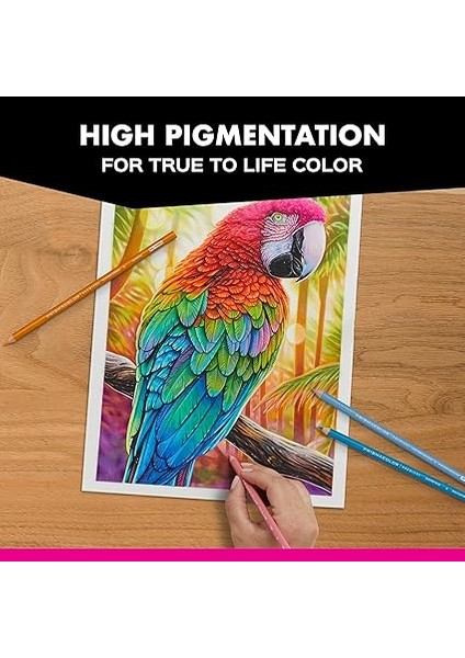 Prisma Premier Colored Pencils indirimleri