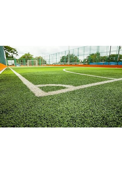 Karışım Ithal Çim Tohumu - 5 kg modelleri