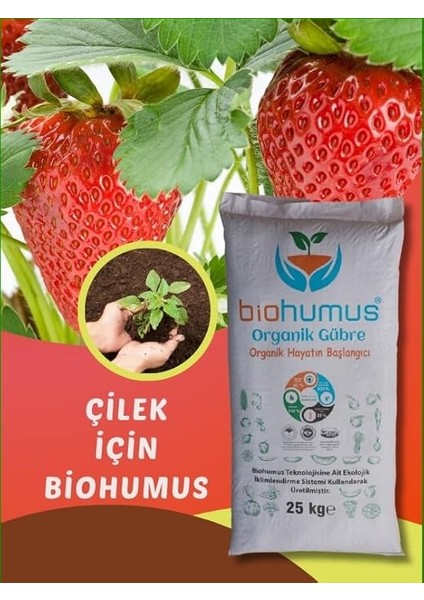 Çilek Için, Organik Gübre, Organik Sertifikalı, Kök Geliştirici, Toprak Düzenleyici, Bitki Besleyici 25 kg (1) modelleri