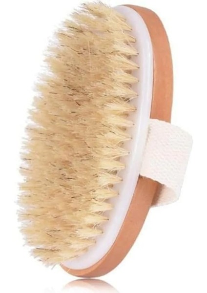 At Kılı Selülit Fırçası Selülit Karşıtı Fırça