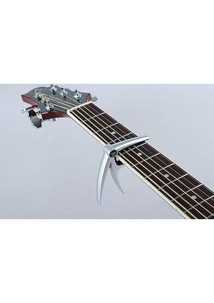 Mc-1-Bk Akustik Gitar Kaposu fiyatları