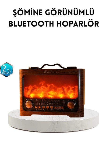 Buğz Şömine Efektli Solar Hoparlör Bluetooth 5.3 Radyo Aux USB Tf Destekli