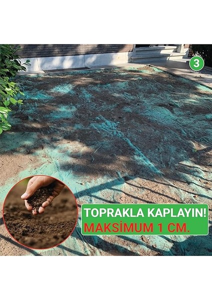 Sunshine Hot Tohumlu Çim Rulosu 10 M2 Organik Gdo'suz fırsatları