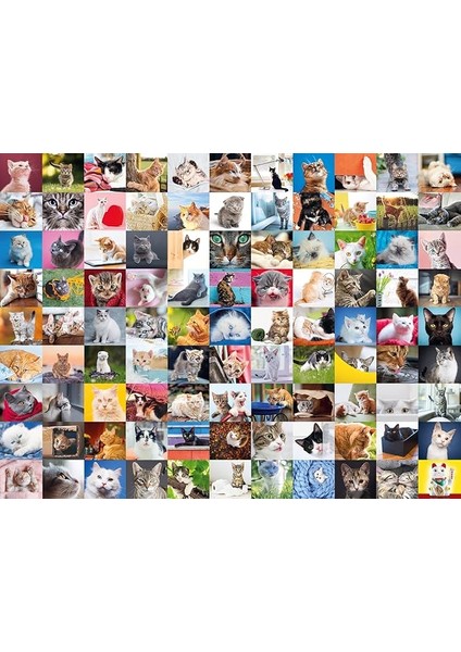 1500P Puz 99 Kedi, Çok Renkli
