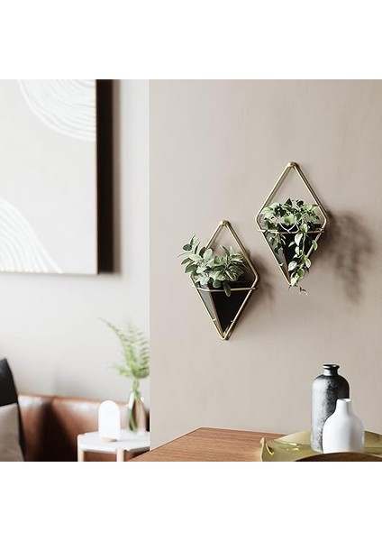 Trigg Duvar Vazosu ve Geometrik Dekoasyon, Oda Bitkileri, Sukulentler, Hava Bitkileri, Kaktüs, Yapay Bitkiler ve Daha Fazlası Için Saksı, Siyah/pirinç, 2'li Set, Küçük fiyatları