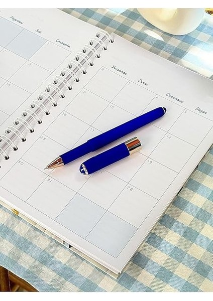 Ajanda 2024-2025 Gizli Spiralli 17X23CM 100GR. fırsatları