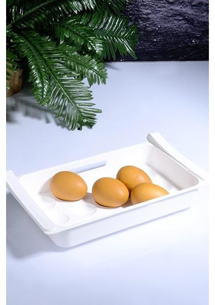 Eggo Pratik Geçmeli Mandallı Raf Yumurtalık 15'li Dolap Içi Yumurta Saklama Kutusu fiyatları