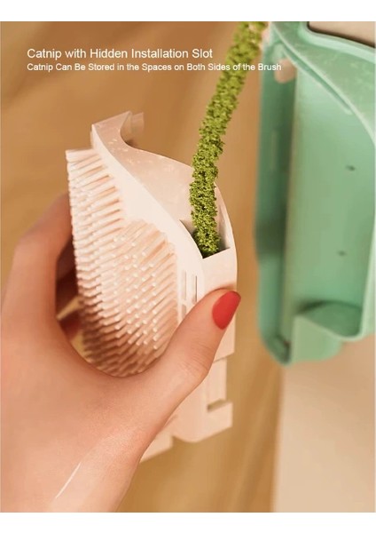 Buğz Kedi Otu Hazneli Kedi Kaşınma Aparatı