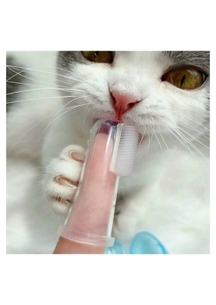 Buğz Kedi Köpek Diş Temizleme Fırçası indirimleri