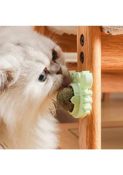 Buğz Yengeç Kedi Otu Oyun Topu fırsatları