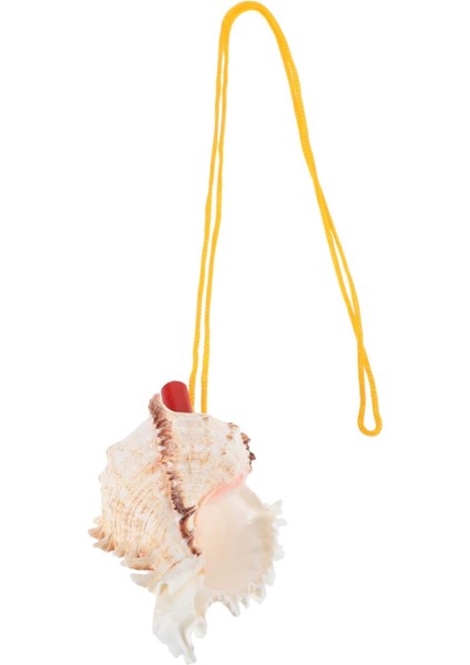 Küçük Kabuklu Düdük, Doğal Deniz Kılıf Kolye Düdük Müzik Severler Için Seyahat Plaj Dekorasyonları Deniz Kabuklu Kolyeler