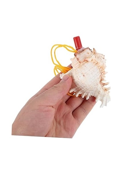 Küçük Kabuklu Düdük, Doğal Deniz Kılıf Kolye Düdük Müzik Severler Için Seyahat Plaj Dekorasyonları Deniz Kabuklu Kolyeler fırsatları