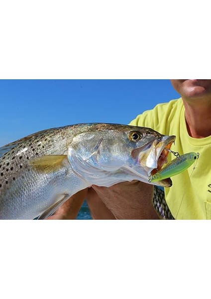 3D Inshore Popper (F) 70 mm 2 – 3/4-Inchmullet Floating Olta Yemi, Meeraesche indirimleri