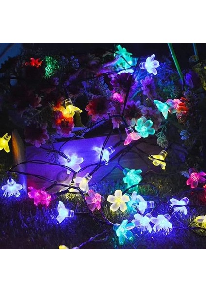 Solar Güneş Enerjili Rgb Gökkuşağı 30 LED Çiçek Zinciri Kiraz Çiçeği IP65 Su Geçirmez Solar Işık Zinciri Dış Mekan Bahçe Veranda Avlu Çardak Noel Ağacı Partiler (Rgb Gökkuşağı) fırsatları