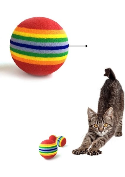 Buğz Sünger Kedi Köpek Çiğneme ve Oyun Topu 4 Adet