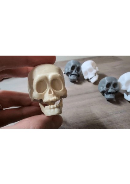 Kafatası Anahtarlık Fidget Clicker - Eğlenceli Çene Tıklama Sesi