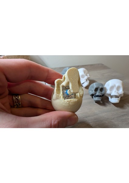 Kafatası Anahtarlık Fidget Clicker - Eğlenceli Çene Tıklama Sesi fırsatları