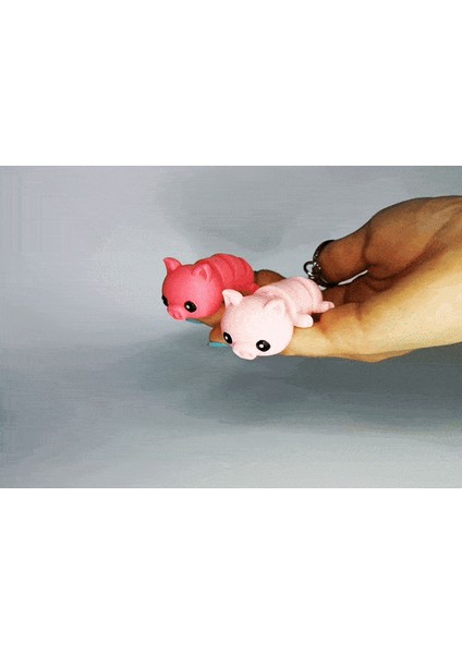 Sevimli Flexi Pets Domuz (Anahtarlık ve Mıknatıs) fiyatları