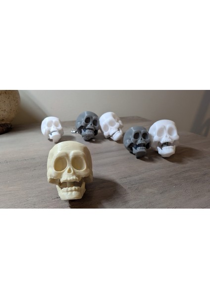 Kafatası Anahtarlık Fidget Clicker - Eğlenceli Çene Tıklama Sesi indirimleri