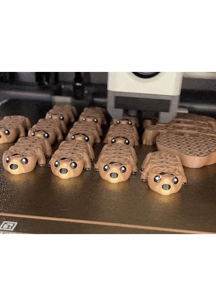 Sevimli Flexi Bear Grizzly (Oyuncak, Anahtarlık ve Magnet) fiyatları