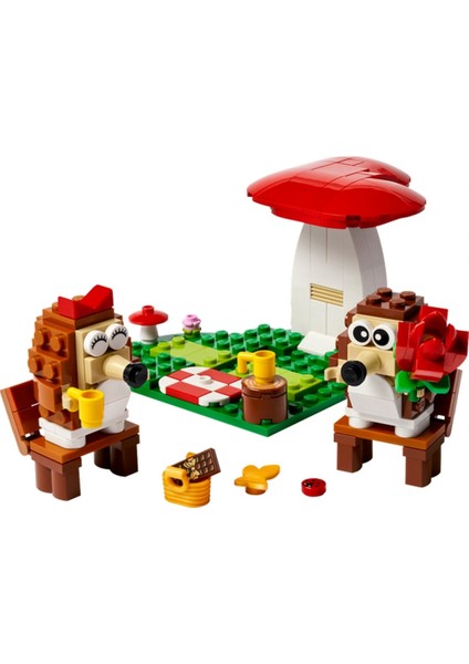 Kirpi Piknikte 40711